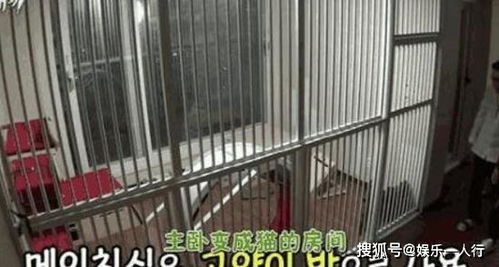 參觀dok2在韓國的豪宅,家里用的是自動門,衣帽間塞得滿滿是衣服