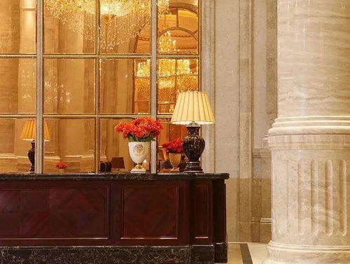 深圳福田山語清暉大戶型現樓深度解析 奢居典范，靜享繁華