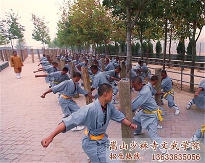 文體藝術(shù)培訓(xùn)產(chǎn)品解析 助力藝術(shù)修養(yǎng)與心靈成長(zhǎng)的多元選擇